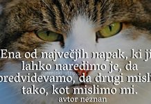 Misel dneva