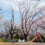 SKUPAJ ZA UREJENA IN VARNA IGRIŠČA