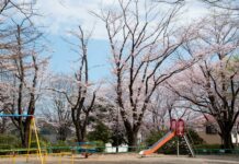 SKUPAJ ZA UREJENA IN VARNA IGRIŠČA
