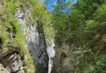 Blejski vintgar brez vstopnine: Turističnemu društvu grozi rušitev