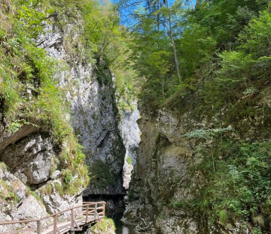 Blejski vintgar brez vstopnine: Turističnemu društvu grozi rušitev