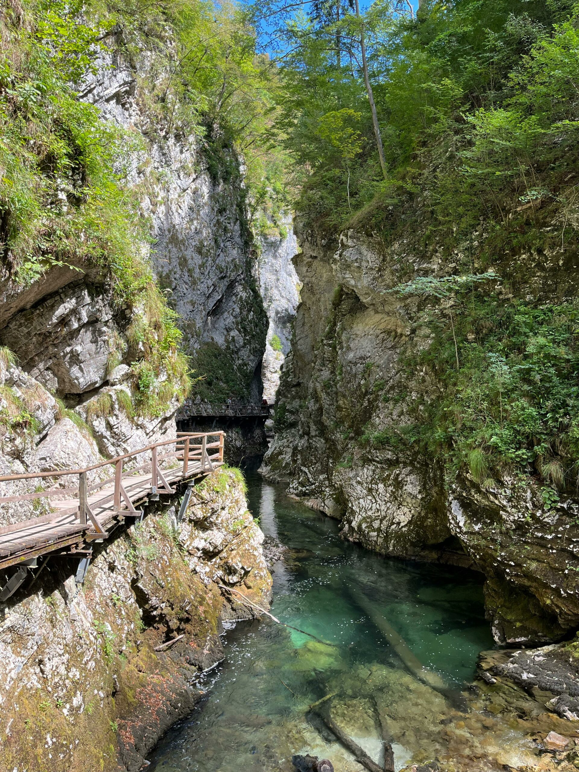Blejski vintgar brez vstopnine: Turističnemu društvu grozi rušitev