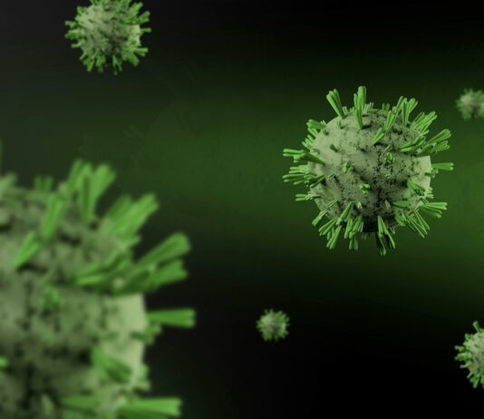 Redek in smrtonosen virus Borna prispel na sever Nemčije